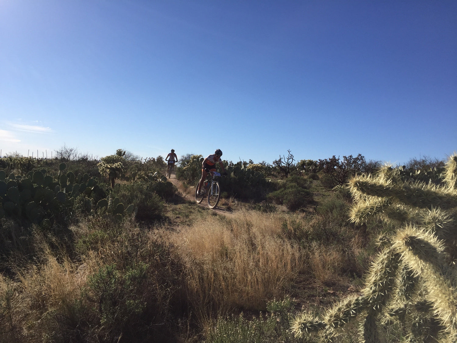 Mid-February means it's time for 24 Hours in the Old Pueblo
