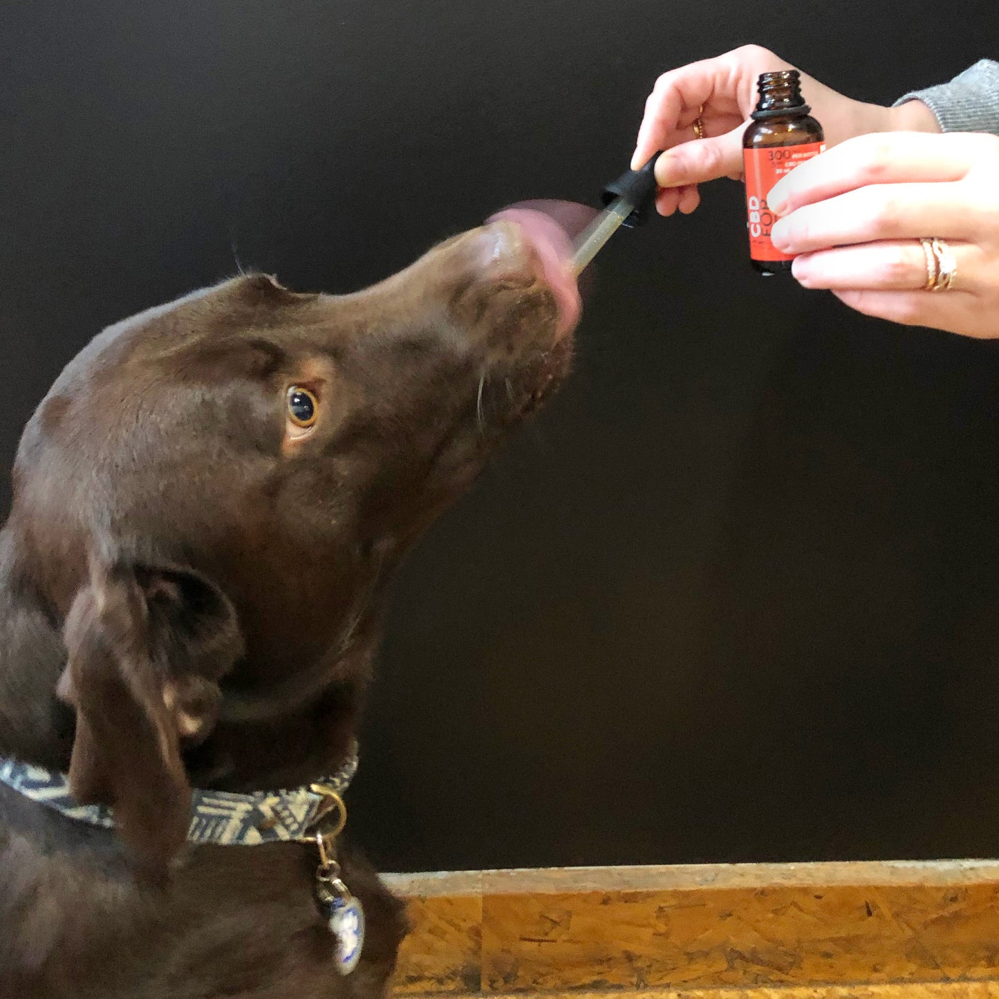 300mg CBD Tincture For Pets