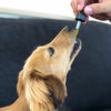 150mg CBD Tincture For Pets